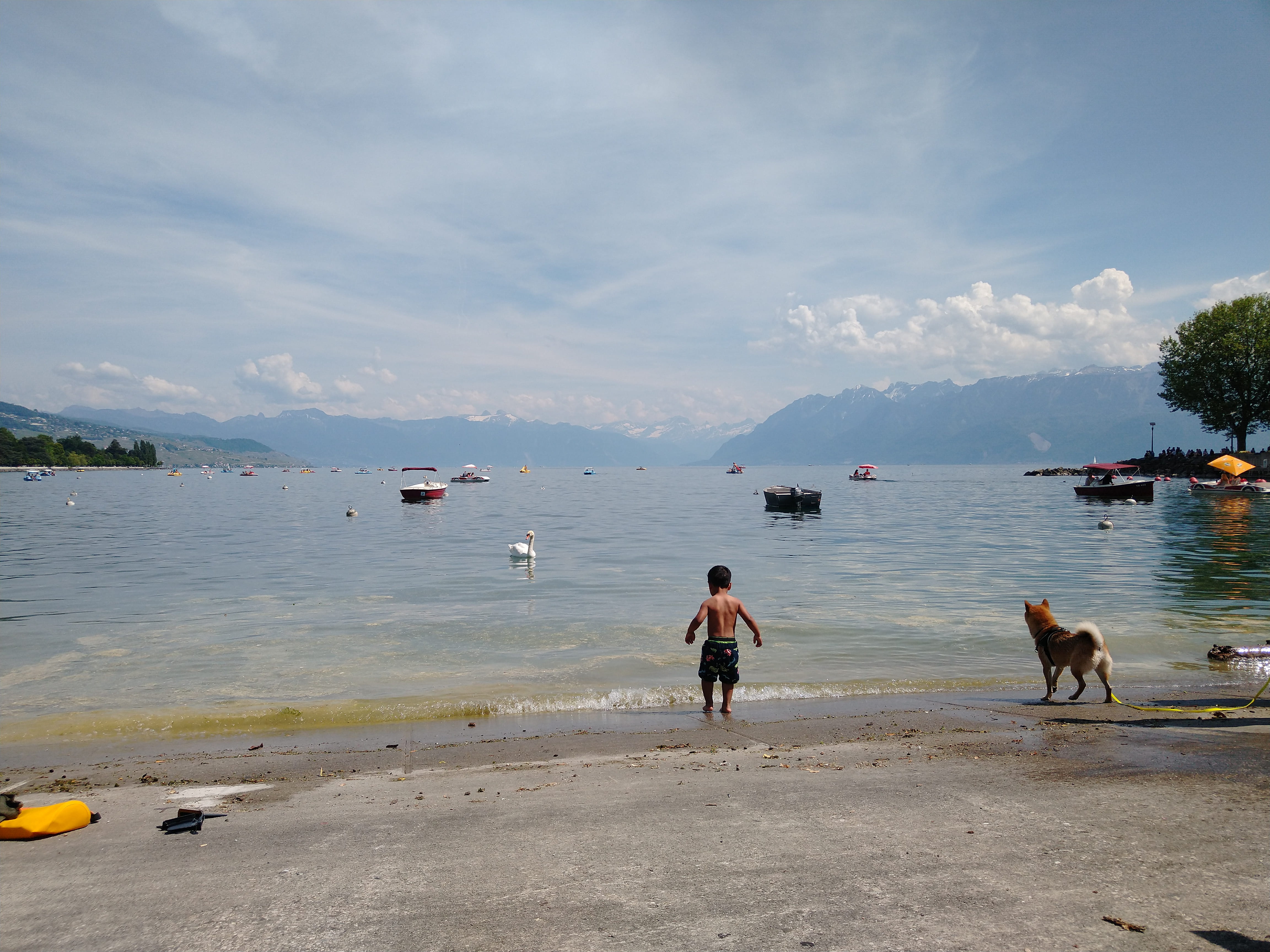 Cooling down the legs at the shore of Lac Léman